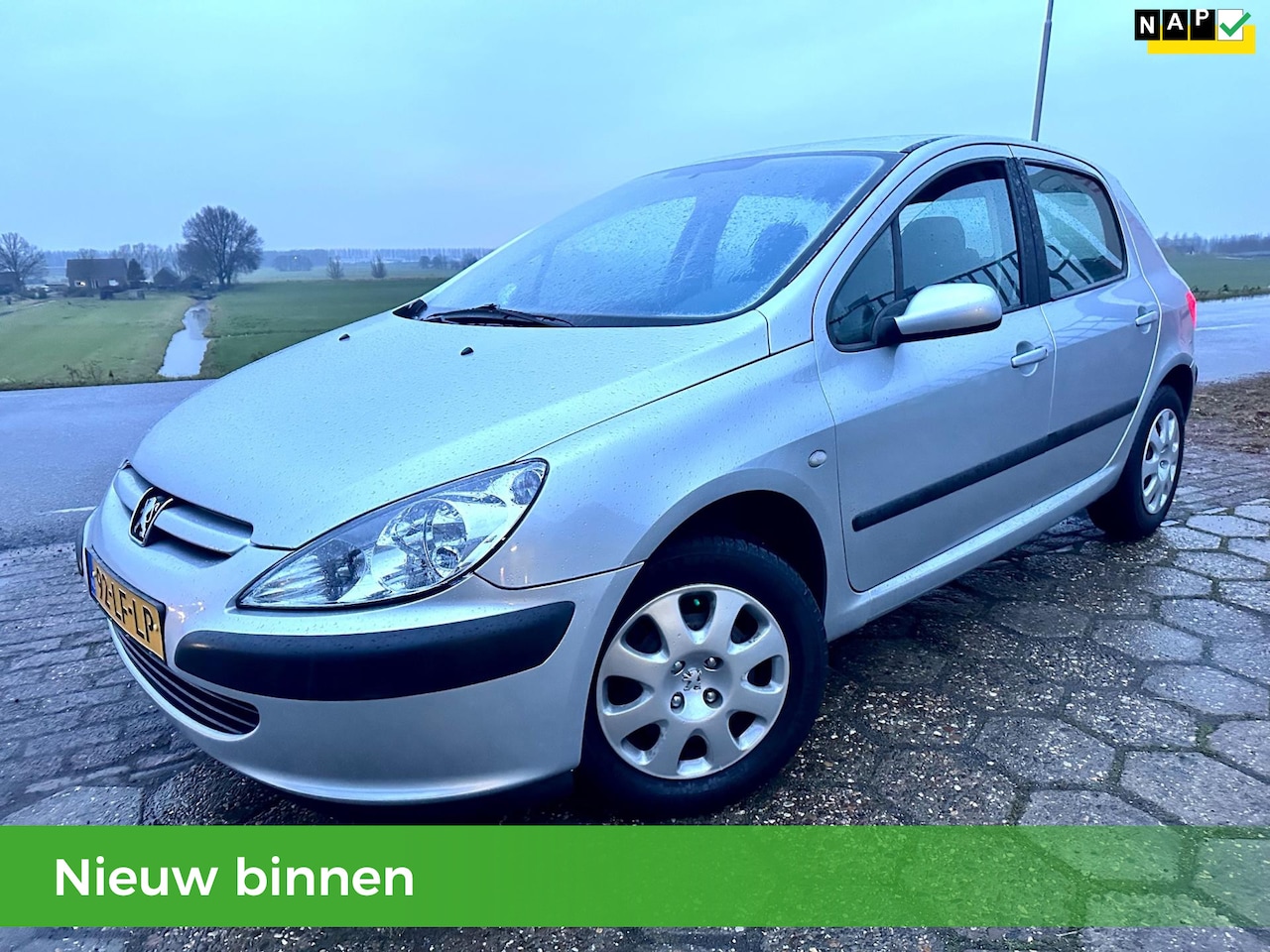 Peugeot 307 - 1.6-16V XS 5D NAP 5D Airco met Nieuwe APK - AutoWereld.nl