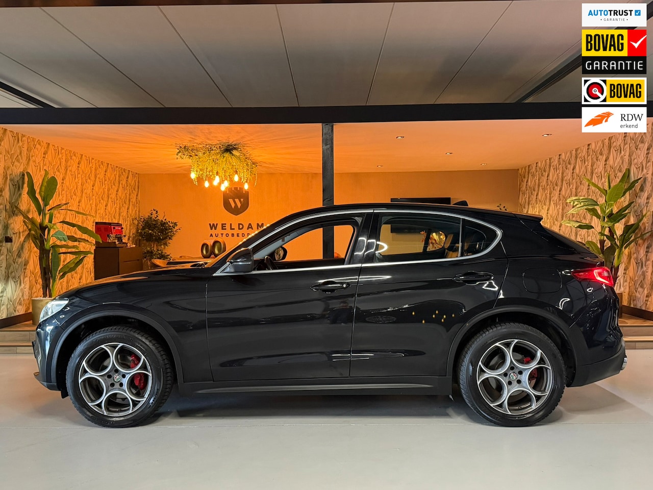 Alfa Romeo Stelvio - 2.0 T AWD Super Garantie 280 PK Memory Leder StuurVW StoelVW Elek Achterklep Camera Cruise - AutoWereld.nl