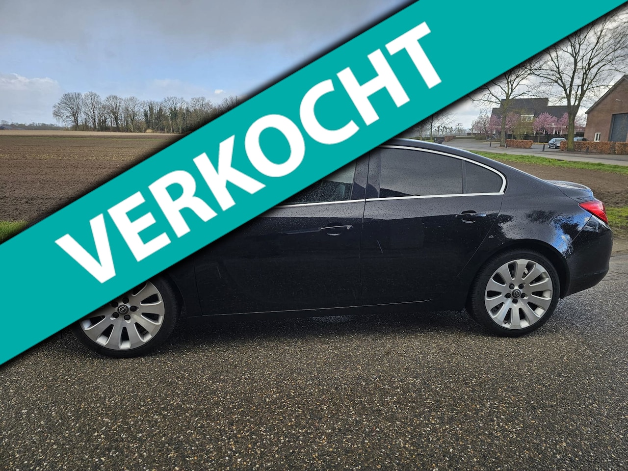 Opel Insignia - 2.0 T Sport 4x4 2.0 T Sport 4x4 - AutoWereld.nl