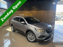Opel Grandland - 1.2 Turbo Business Edition X Navigatie 18 inch LMV Climate Control Getint glas