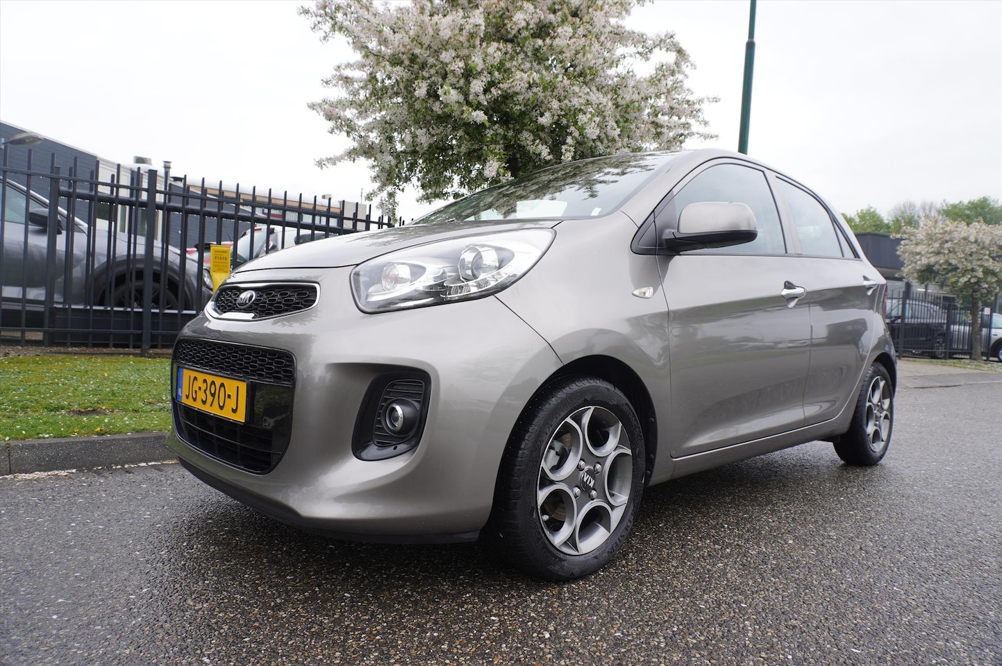 Kia Picanto - 1.0 CVVT 69 PK ECO Dynamics 5D DynamicLine Clima - AutoWereld.nl