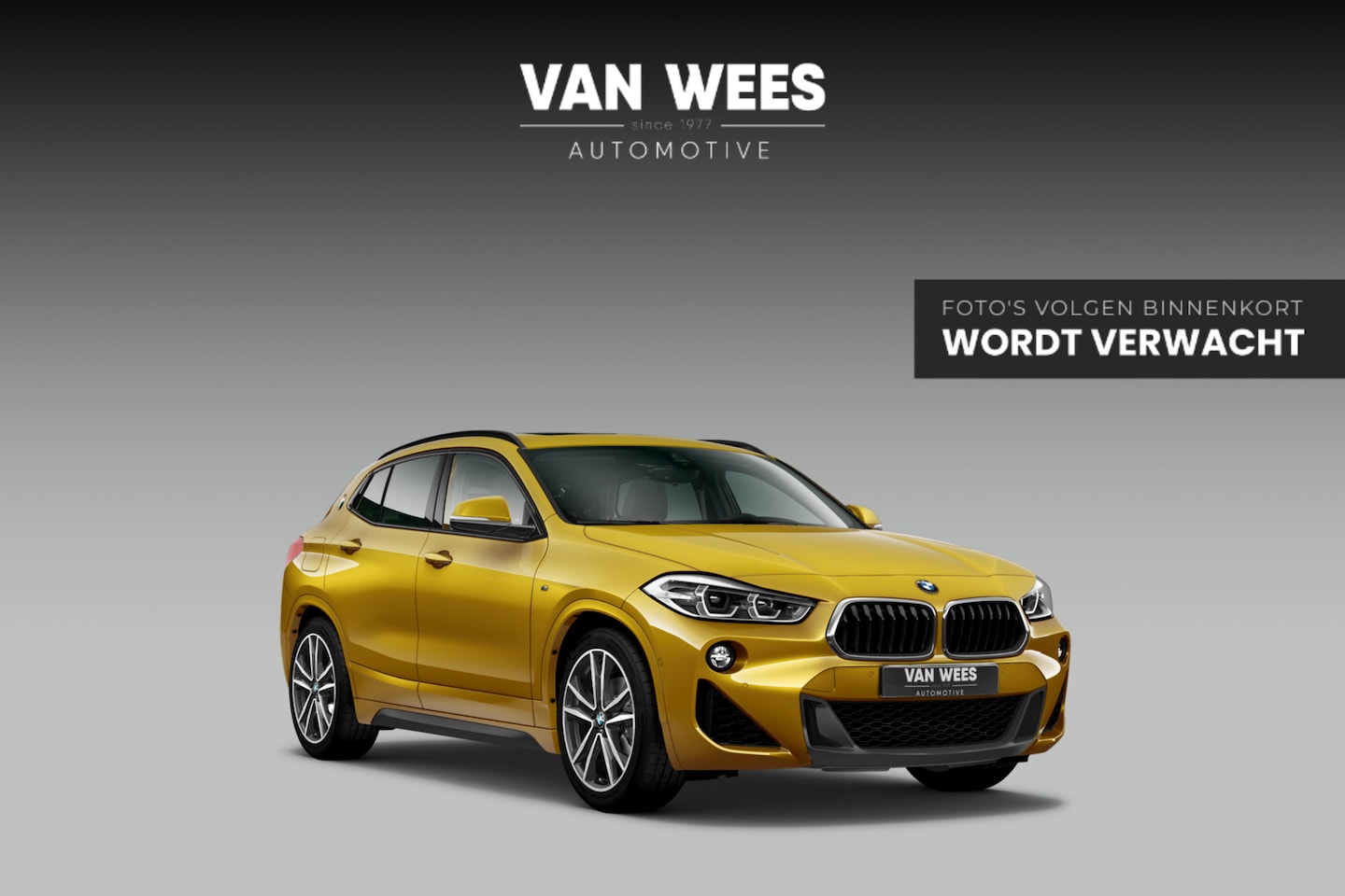 BMW X2 - sDrive18i High Executive M-sport | 2e eigenaar | Driving Assistant | Panoramadak | 19 inch - AutoWereld.nl