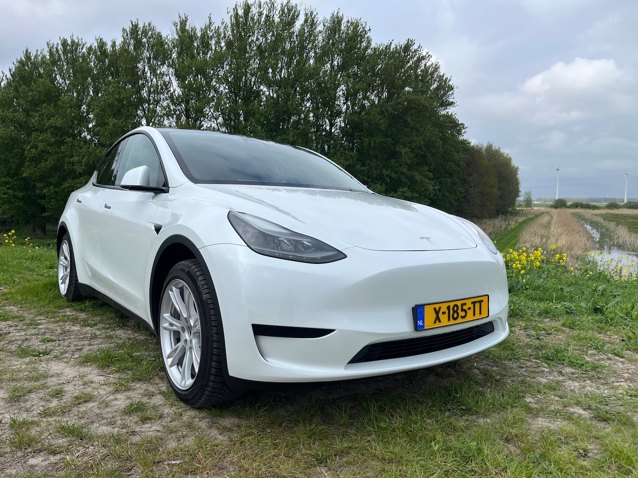 Tesla Model Y - RWD - AutoWereld.nl