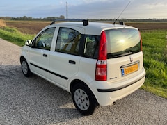 Fiat Panda - 1.2 Edizione Cool