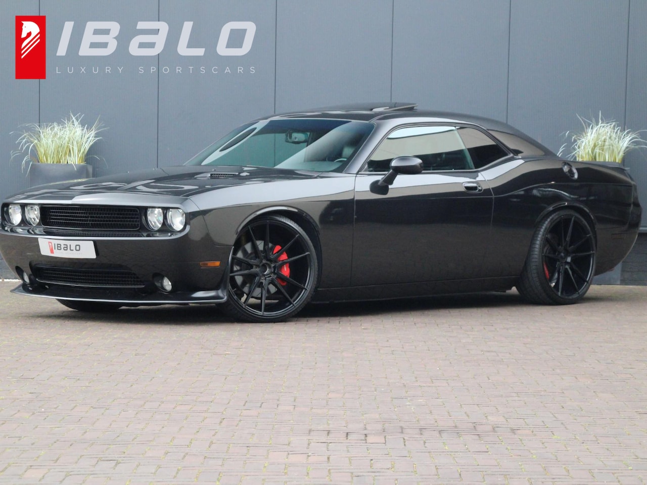 Dodge Challenger - SRT8 6.1 HEMI V8 | 22 inch | Sportuitlaat | - AutoWereld.nl