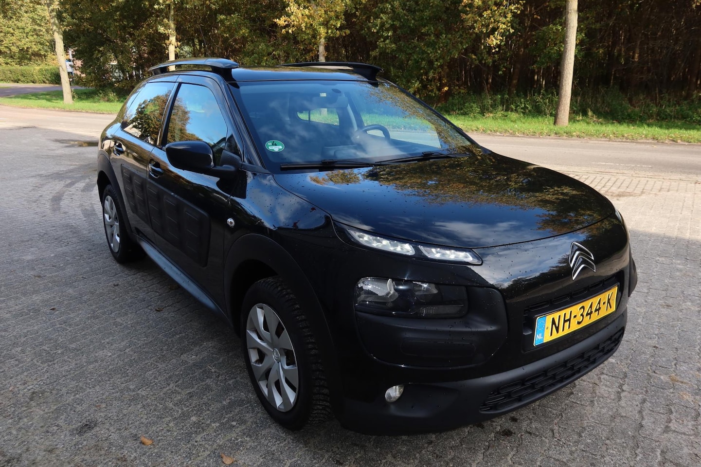 Citroën C4 Cactus - 1.2 PureTech Feel 1.2 PureTech Feel - AutoWereld.nl