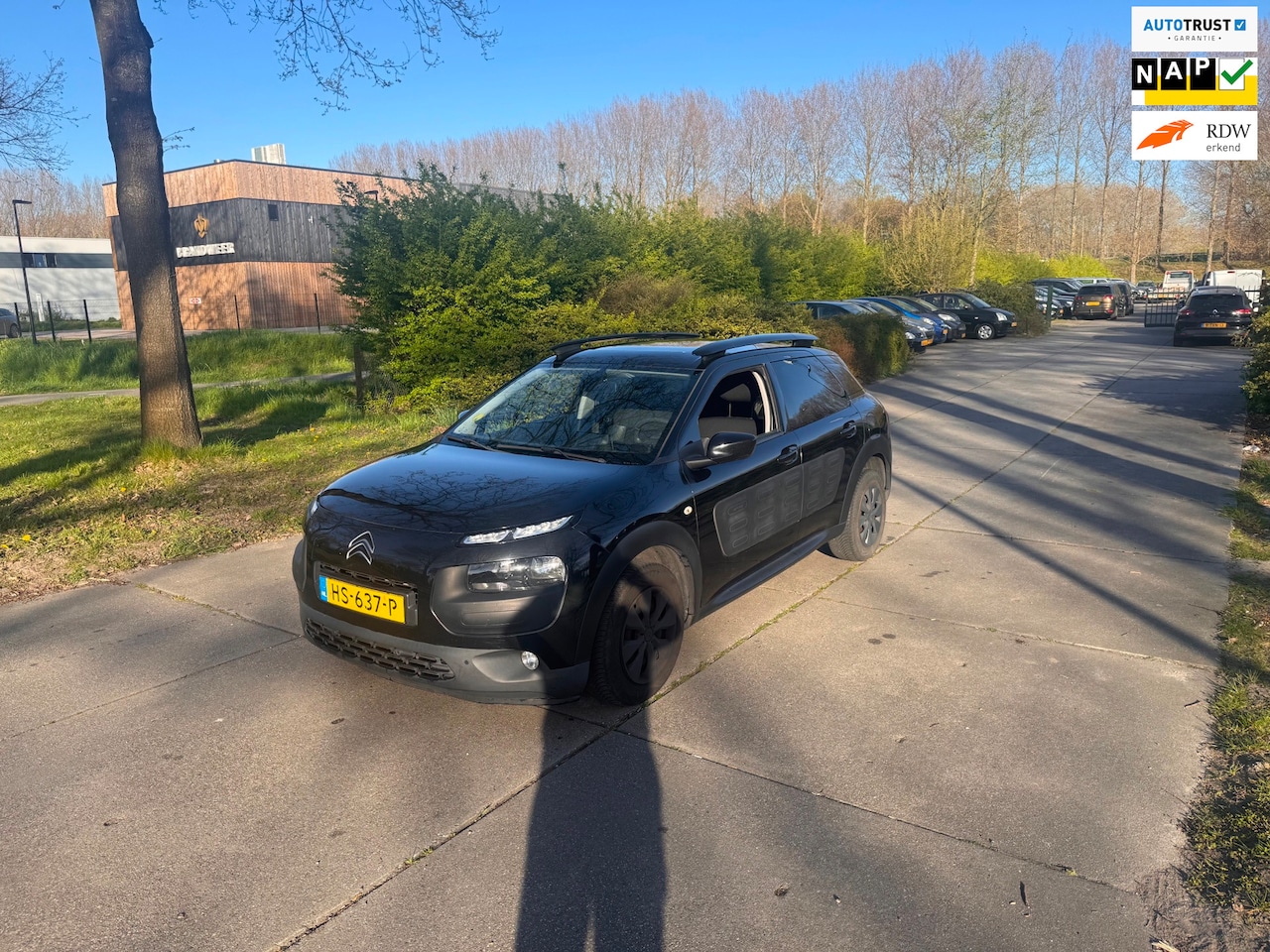 Citroën C4 Cactus - 1.6 BlueHDi Limited Business Plus Clima.Navi.Camera.Pano - AutoWereld.nl