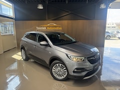 Opel Grandland - 1.2 Turbo Business Edition X Navigatie 18 inch LMV Climate Control Getint glas