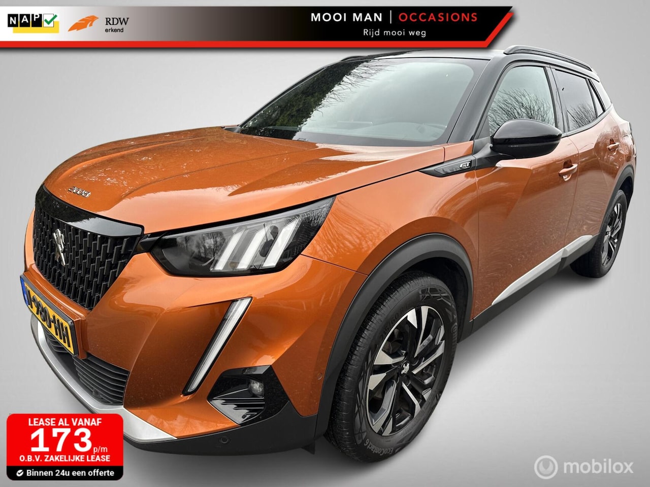 Peugeot 2008 - 1.2 PureTech Active Pack 1.2 PureTech Active Pack - AutoWereld.nl