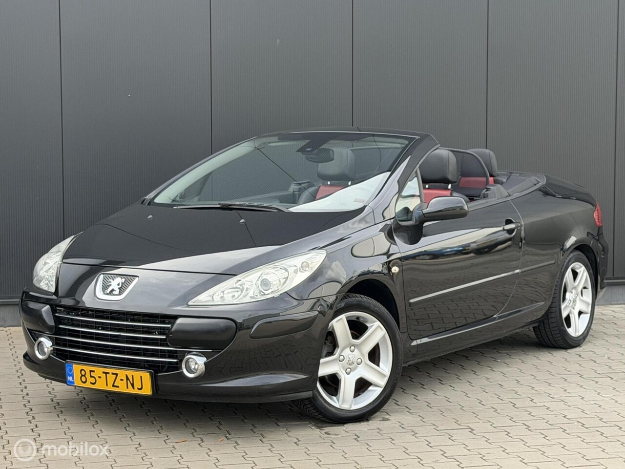 Peugeot 307 CC - 2.0-16V | LEDER | 17 INCH | CRUISE | CLIMA | - AutoWereld.nl