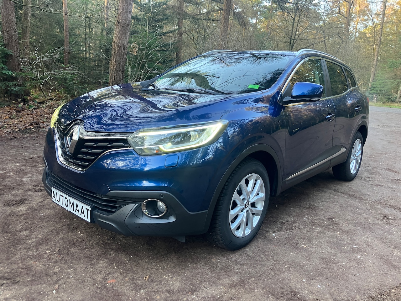 Renault Kadjar - 1.2 TCe Limited Automaat, Nieuwe APK, Voorruit en Stoelverw, 4-seizoensbanden - AutoWereld.nl