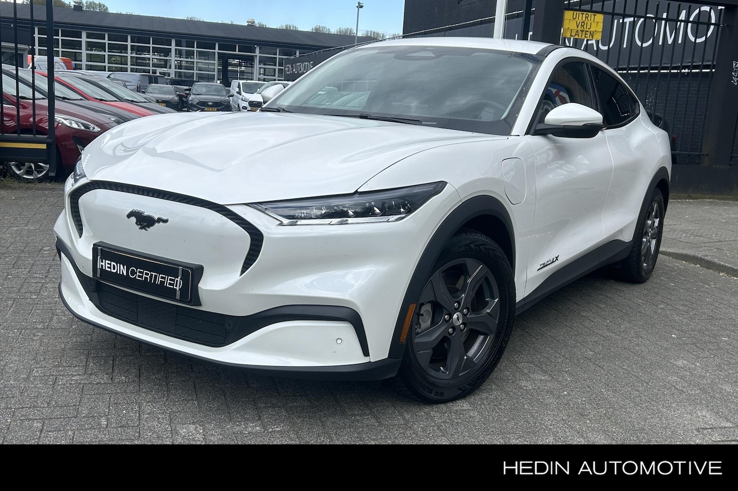 Ford Mustang Mach-E - Extended RWD 98 kWh | Leder | BLIS | Adapt. Cruise Control | Navigatie | Carplay | - AutoWereld.nl