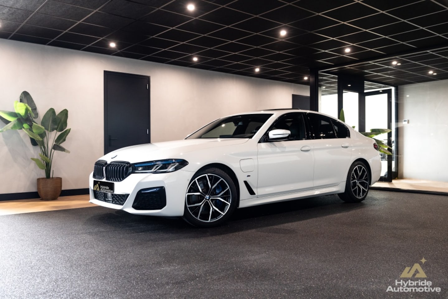 BMW 5-serie - 545e xD High Ex. Ed. | HuD | H&K | Open Dak | Trekhaak | - AutoWereld.nl