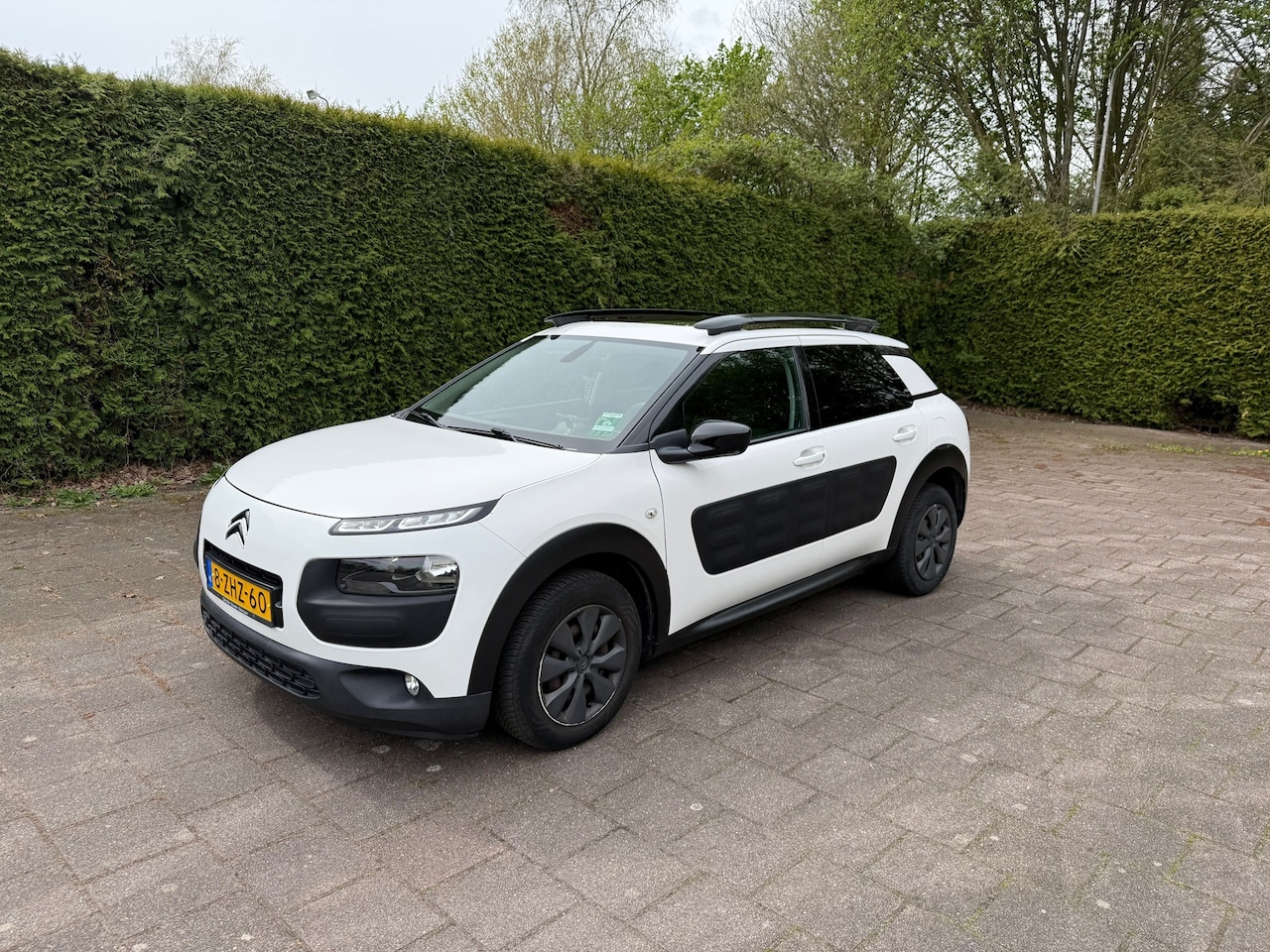 Citroën C4 Cactus - 1.6 BlueHDi Shine 1.6 BlueHDi Shine - AutoWereld.nl