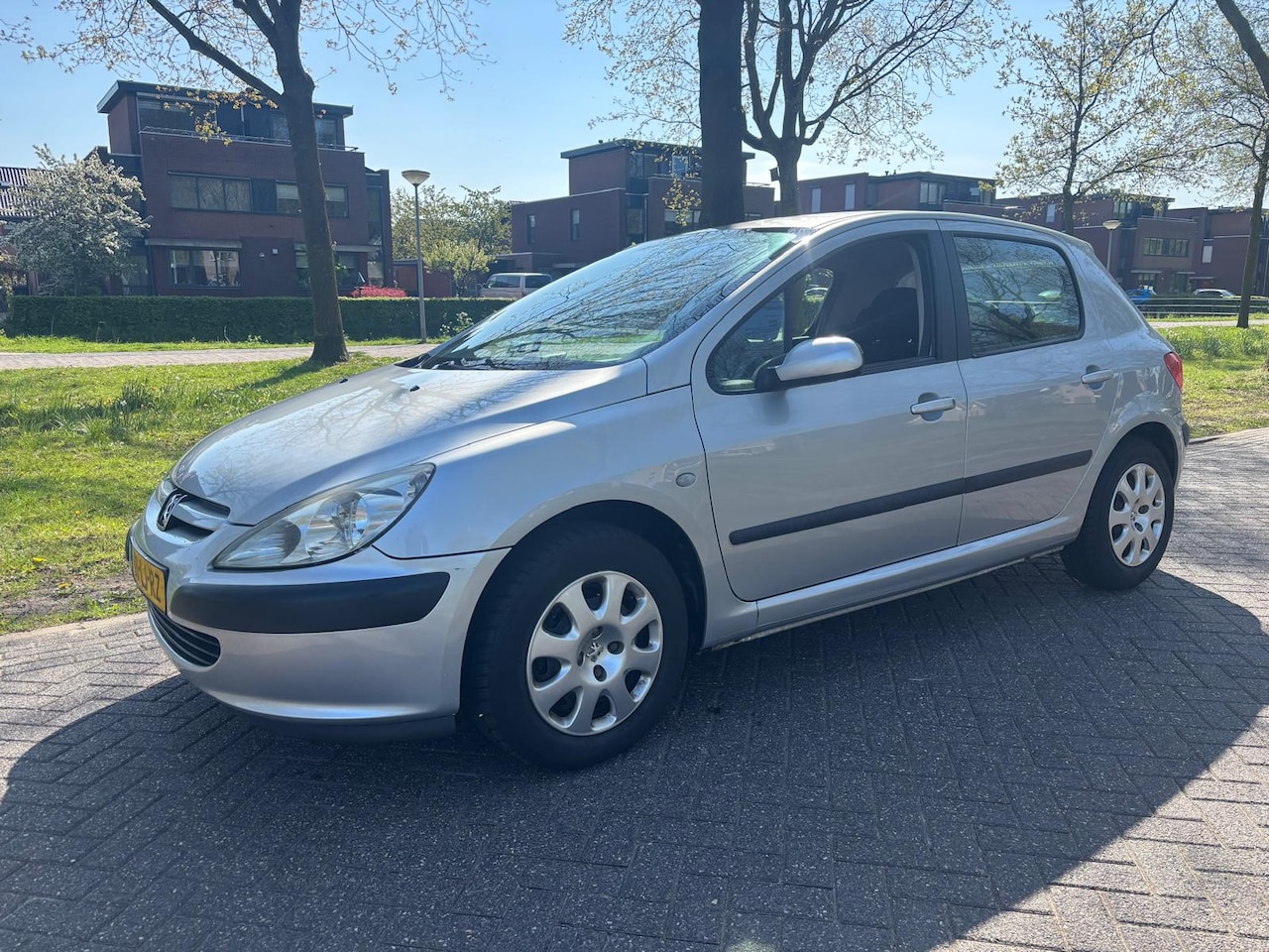 Peugeot 307 - 1.6-16V XS 1.6-16V XS - AutoWereld.nl