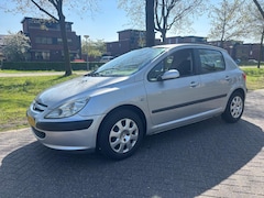 Peugeot 307 - 1.6-16V XS