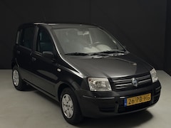 Fiat Panda - 1.2 Dynamic *City