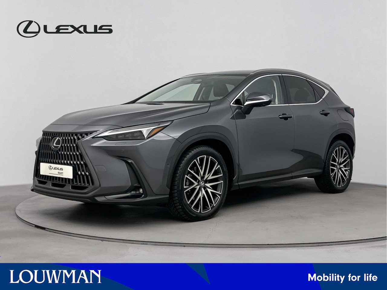 Lexus NX - 450h+ AWD President Line Limited | Mark Levinson Audio | Parkassist | Apple Carplay | - AutoWereld.nl