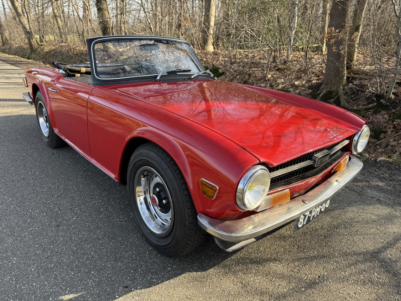 TRIUMPH TR 6 PI