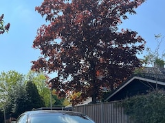 BMW 3-serie Cabrio - 320i m pakket full options