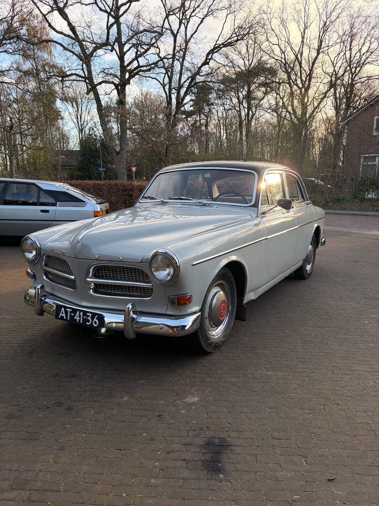 Volvo 122 - Amazon - AutoWereld.nl