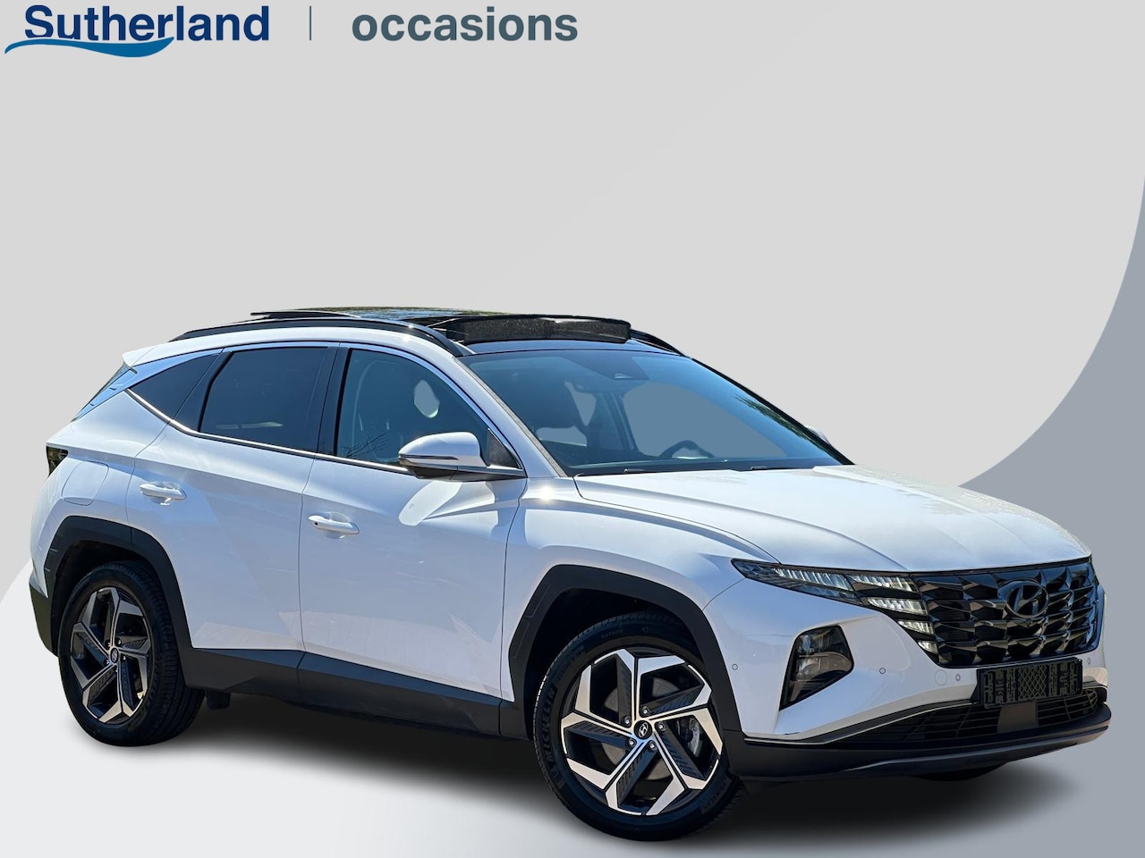 Hyundai Tucson - 1.6 T-GDI PHEV Premium Sky 4WD | Panoramadak | Dealer onderhouden | Leder | Achteruitrijca - AutoWereld.nl