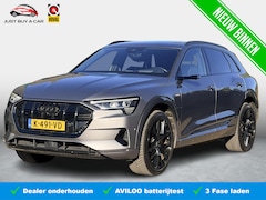 Audi e-tron - e-tron 55 quattro advanced Pro Line Plus 95 kWh SoH 93% / Panoramadak / Bang & Olufsen / T