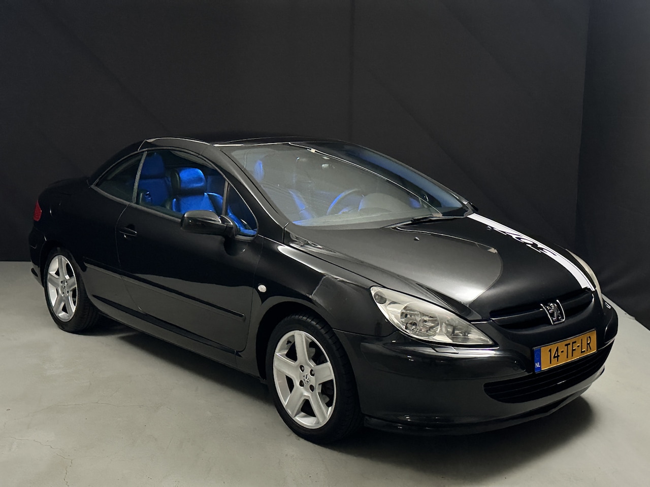 Peugeot 307 CC - 2.0-16V *Cabrio*Apple/Android*AC* - AutoWereld.nl