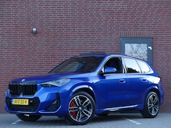 BMW X1 - sDrive20i M-Sport / Panodak