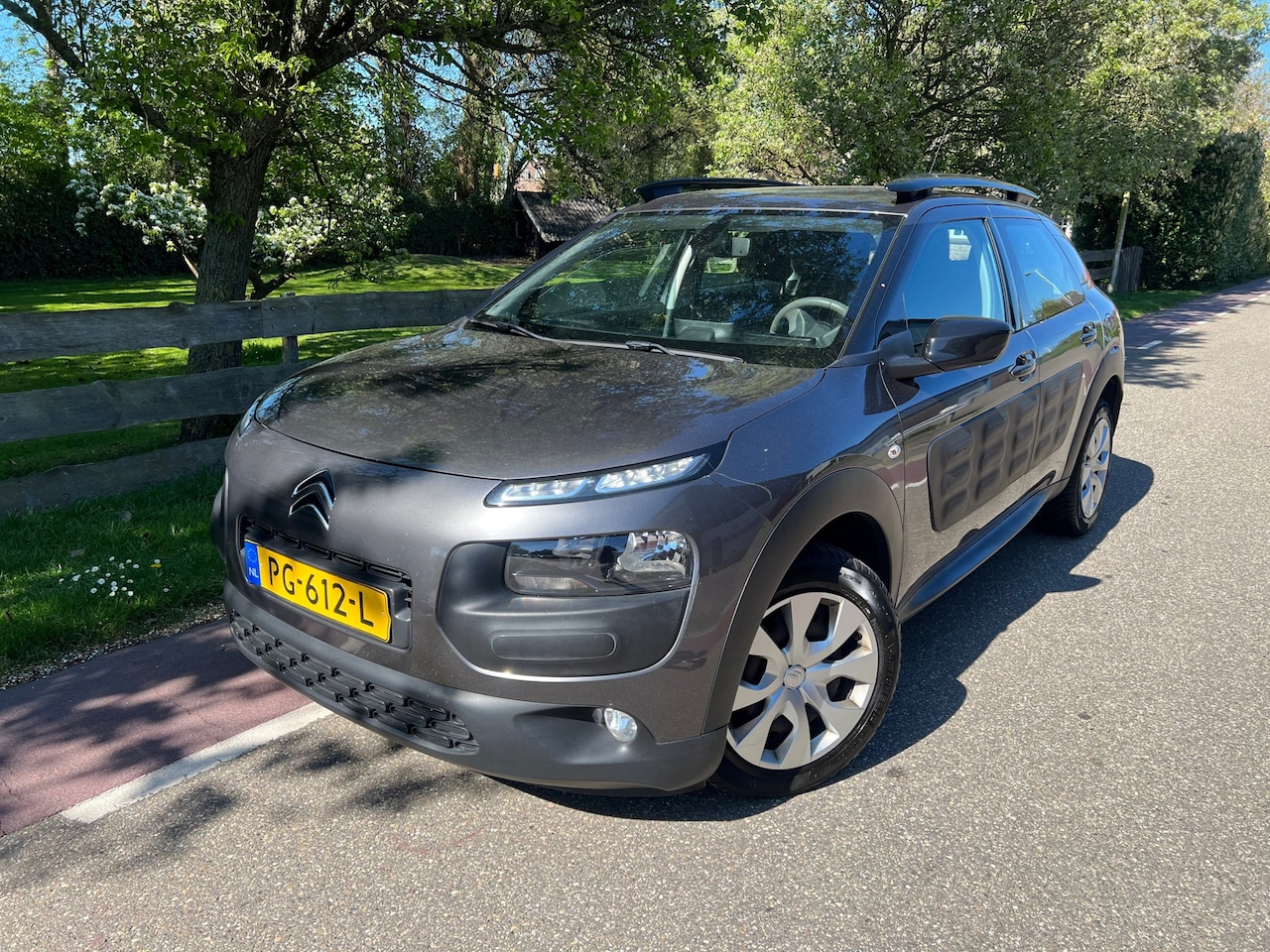 Citroën C4 Cactus - 1.2 PureTech Business Navi PDC - AutoWereld.nl