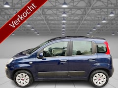 Fiat Panda - 1.2 Edizione Cool