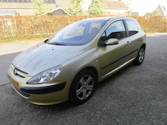 Peugeot 307 - 2.0-16V XSI airco cv 1eig leer, lm apk 4-2027