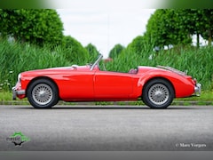 MG A 1600 - Roadster
