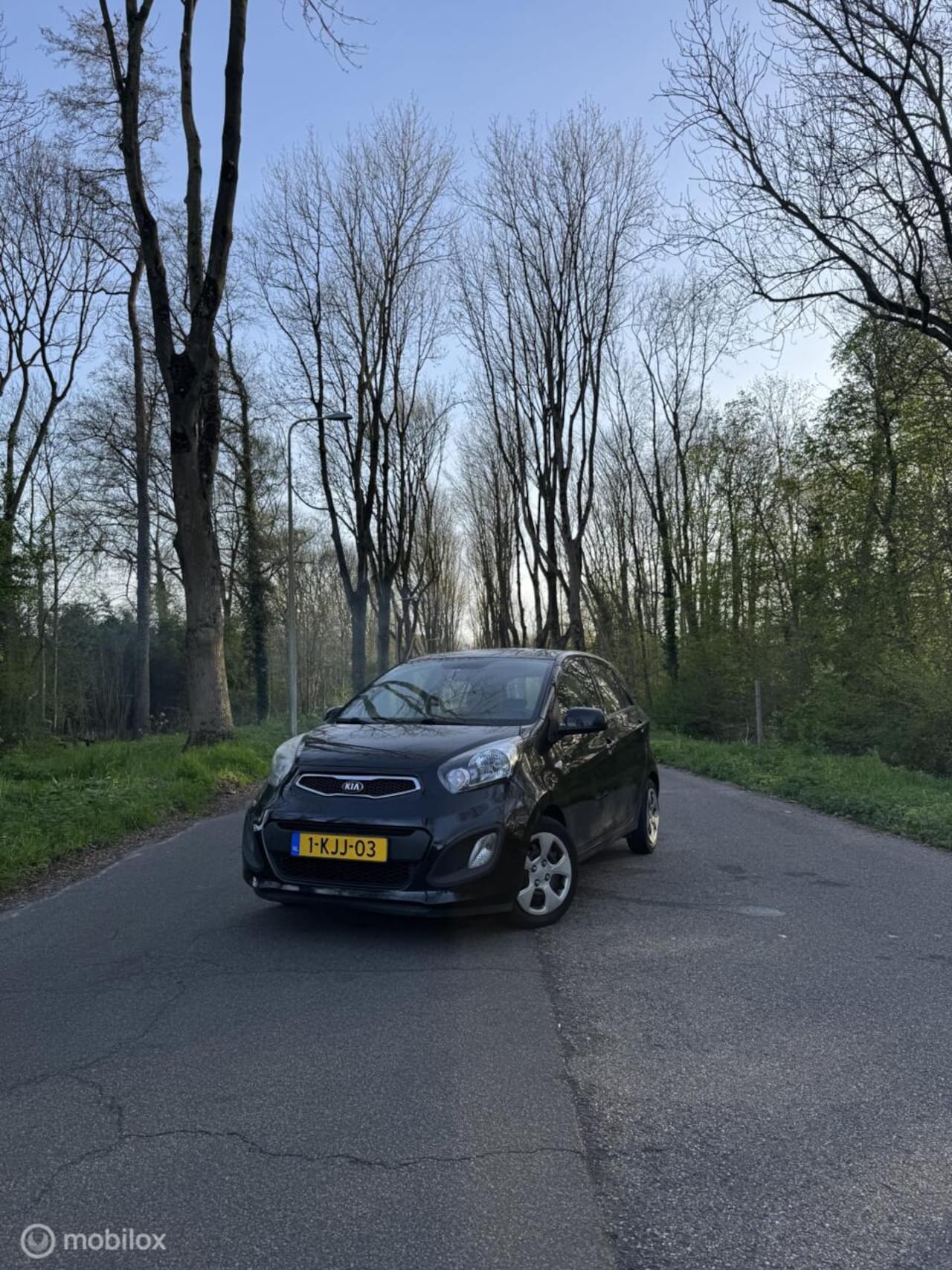 Kia Picanto - 1.0 CVVT | Elek. ramen | Airco | Olieverbruik! - AutoWereld.nl