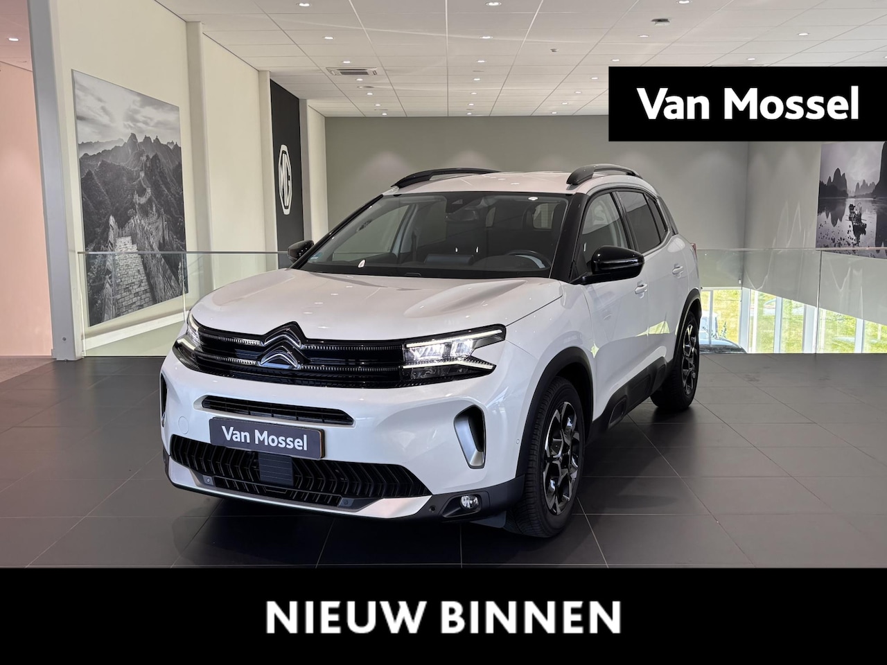 Citroën C5 Aircross - 1.2 PureTech Business Plus | Automaat | Camera | Navigatie - AutoWereld.nl