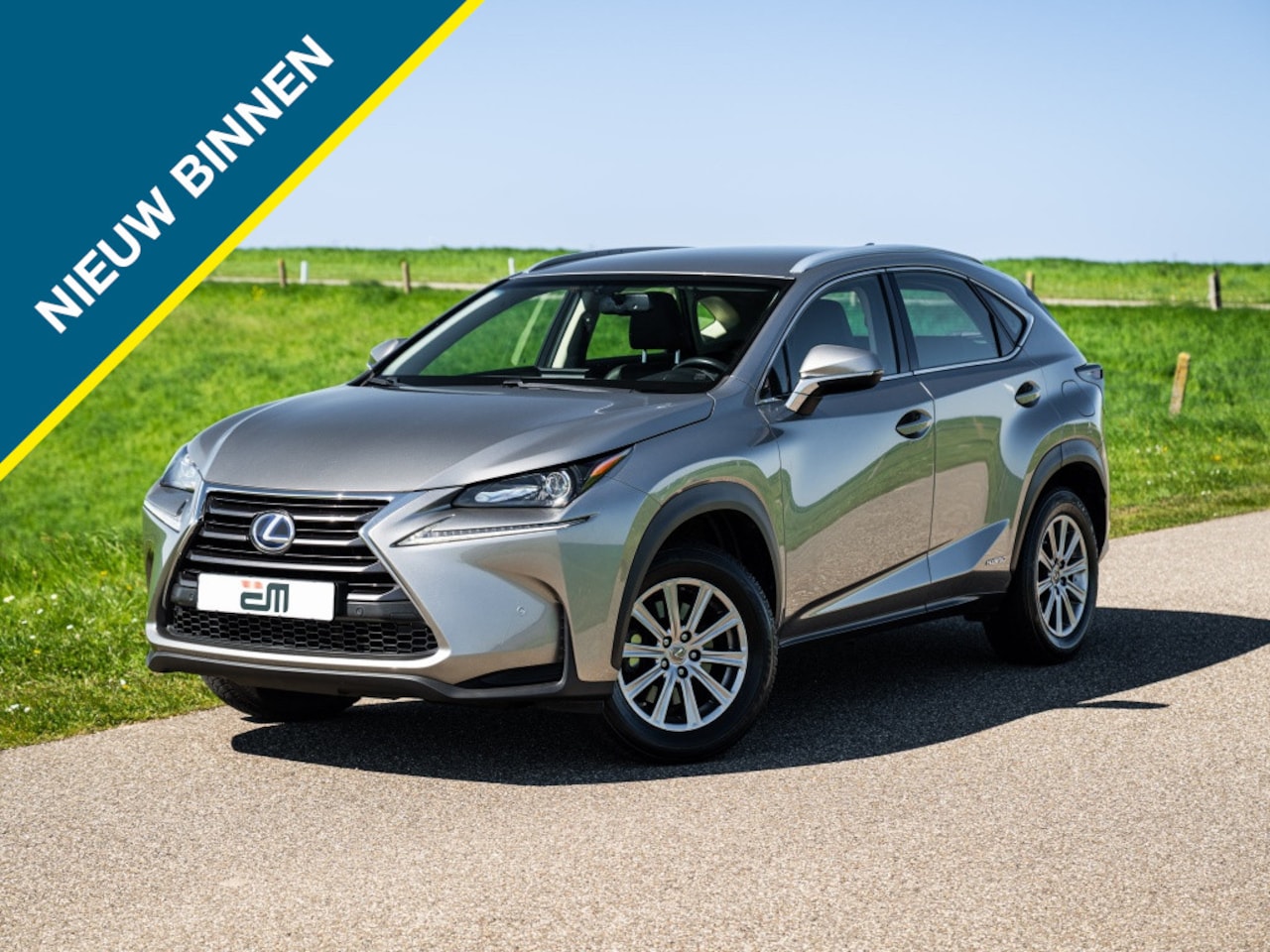 Lexus NX - 300h AWD Leder Camera Trekhaak PDC v/a - AutoWereld.nl