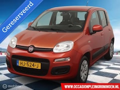 Fiat Panda - 1.2 Edizione Cool