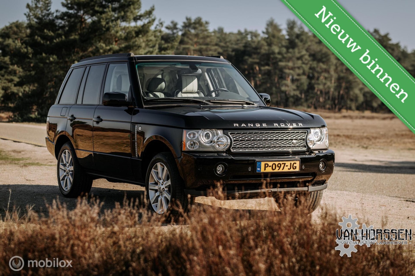 Land Rover Range Rover - 4.2 V8 Supercharged 4.2 V8 Supercharged - AutoWereld.nl