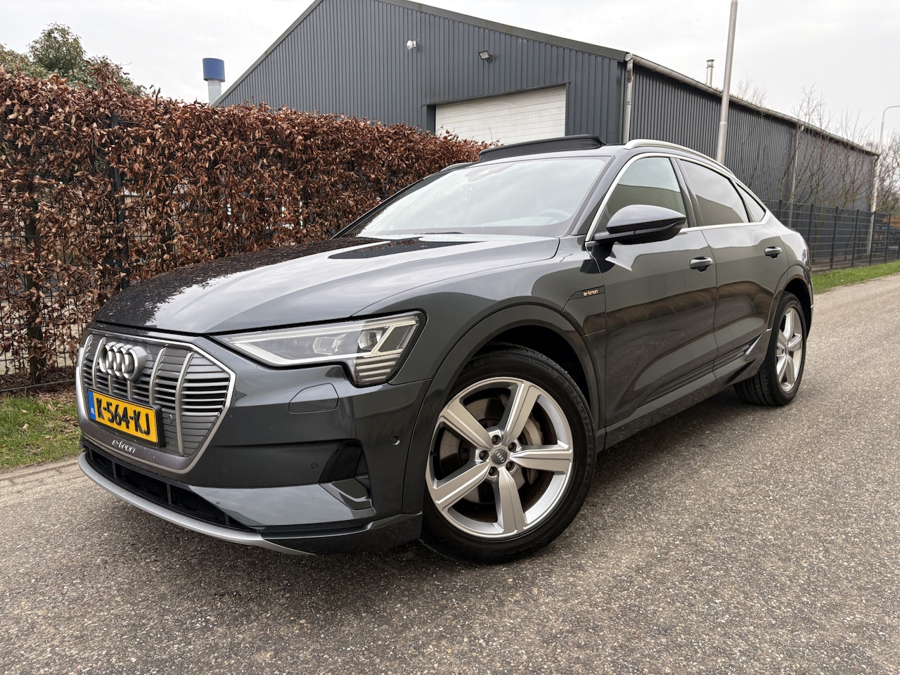 Audi e-tron Sportback - 50 quattro Business edition Plus 71 kWh / AUTOMAAT / PANORAMADAK / INCL BTW - AutoWereld.nl