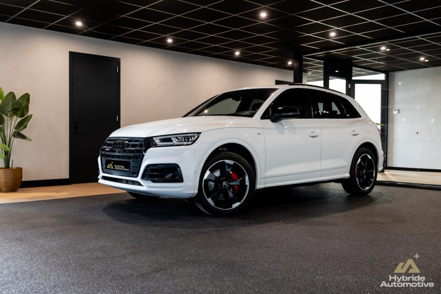 Audi Q5 - 50 TFSI e q. S edition | B&O | HuD | 360Cam | Pano | - AutoWereld.nl