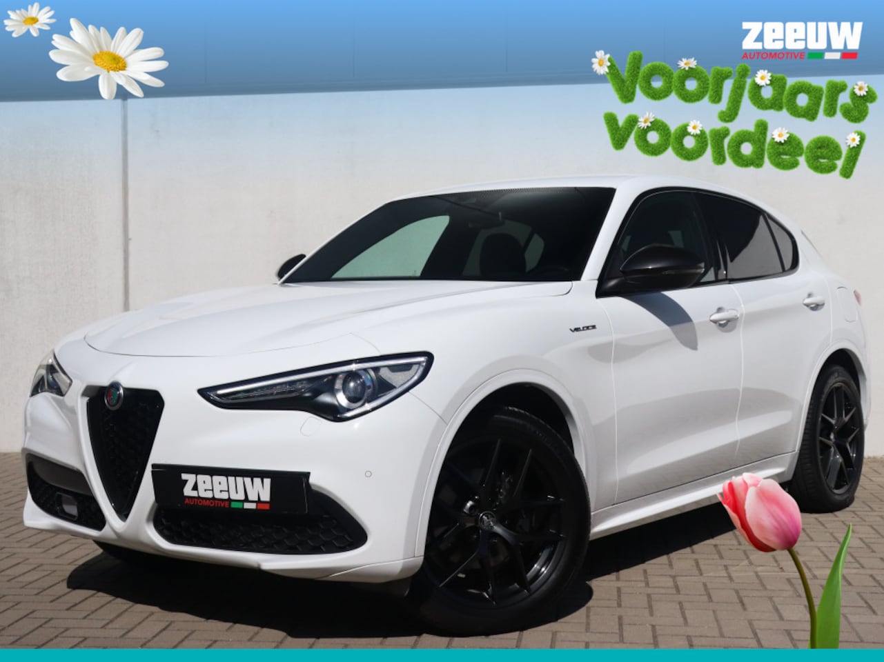 Alfa Romeo Stelvio - 2.0 Turbo 280 PK AWD Veloce | Navi | Carplay | Driver | 20" - AutoWereld.nl