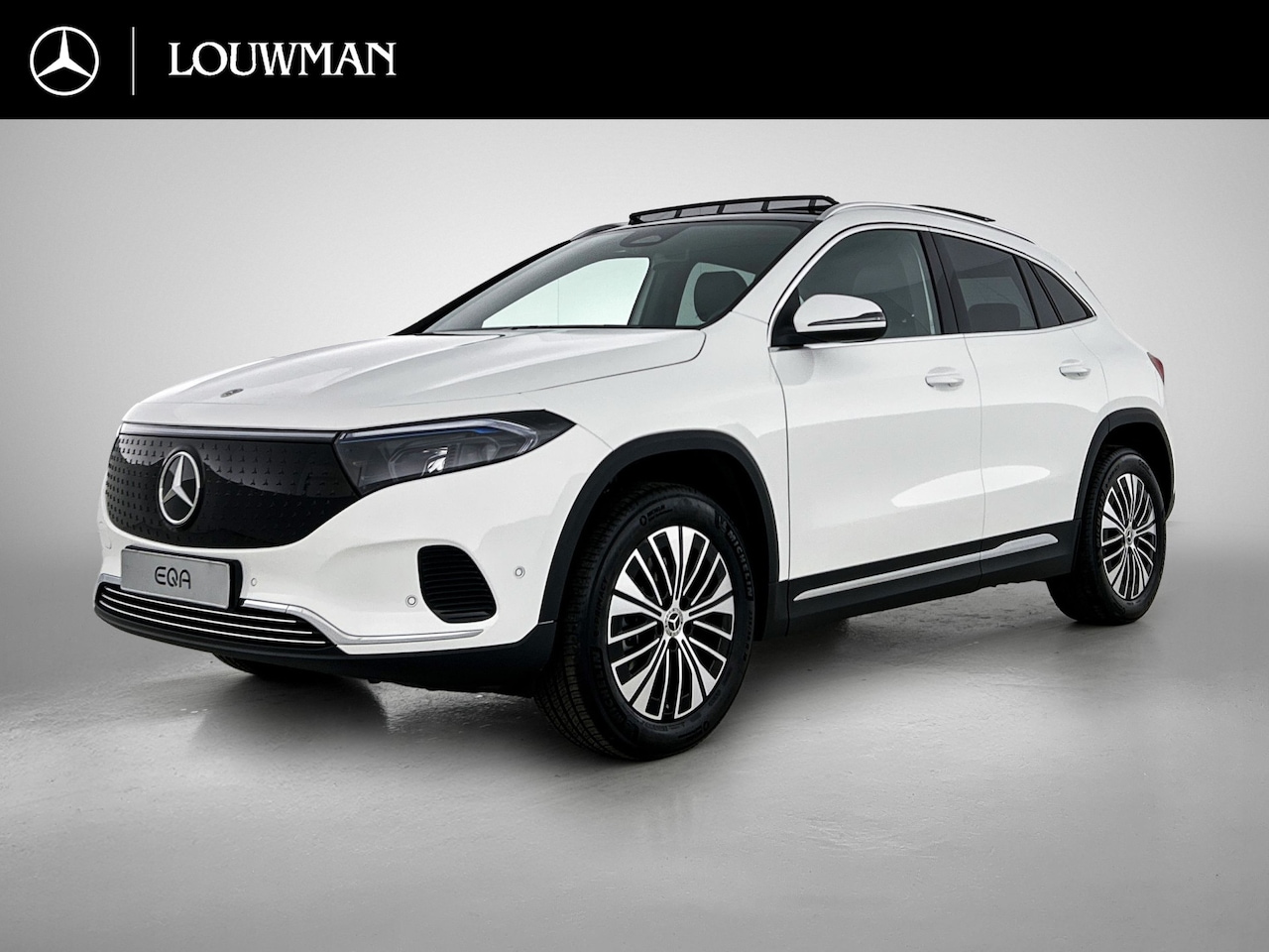 Mercedes-Benz EQA - 250+ Business Solution Luxury 71 kWh | Spiegelpakket | Parkeerpakket met achteruitrijcamer - AutoWereld.nl