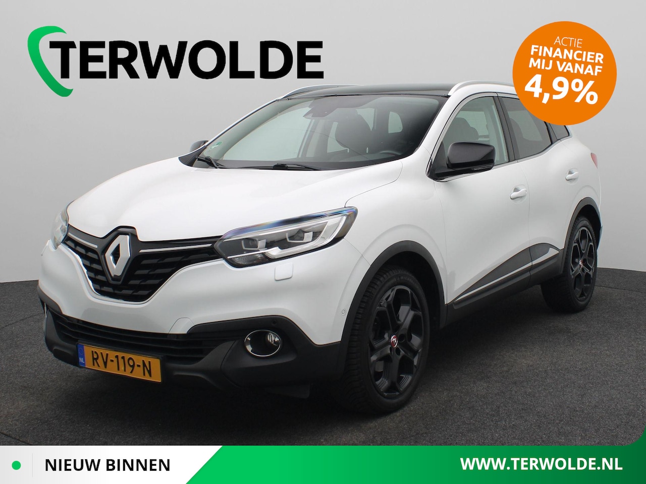 Renault Kadjar - Energy TCe 160 Série Limitée Night & Day | Trekhaak | Panoramadak | Lederen Bekl. | BOSE A - AutoWereld.nl