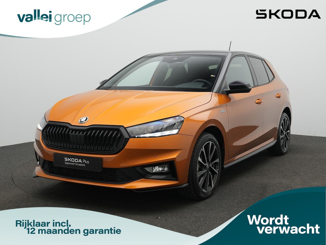 Skoda Fabia - 1.0 TSI 115 pk Monte Carlo | Achteruitrijcamera | Stoelverwarming | Adaptive Cruise | Carp - AutoWereld.nl