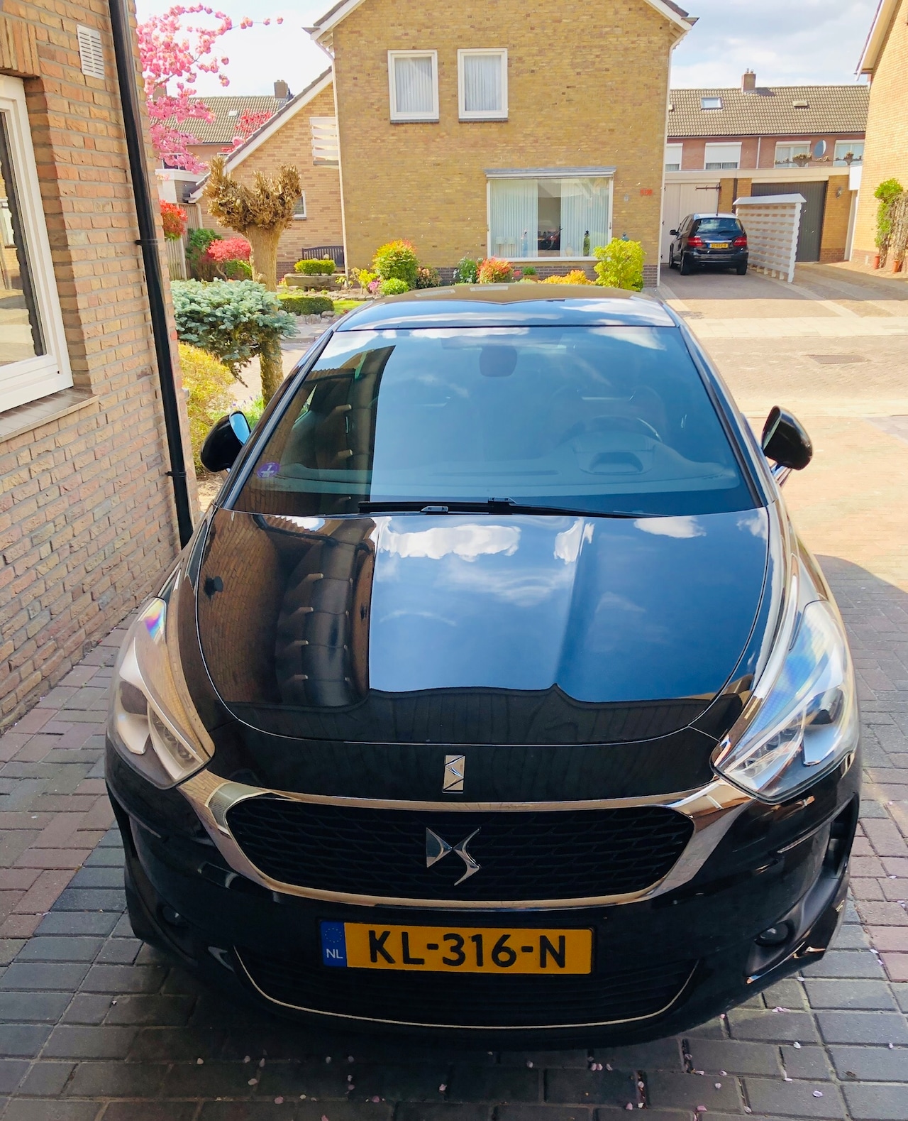 DS 5 - 1.6 THP Business Executive 165 pk - AutoWereld.nl