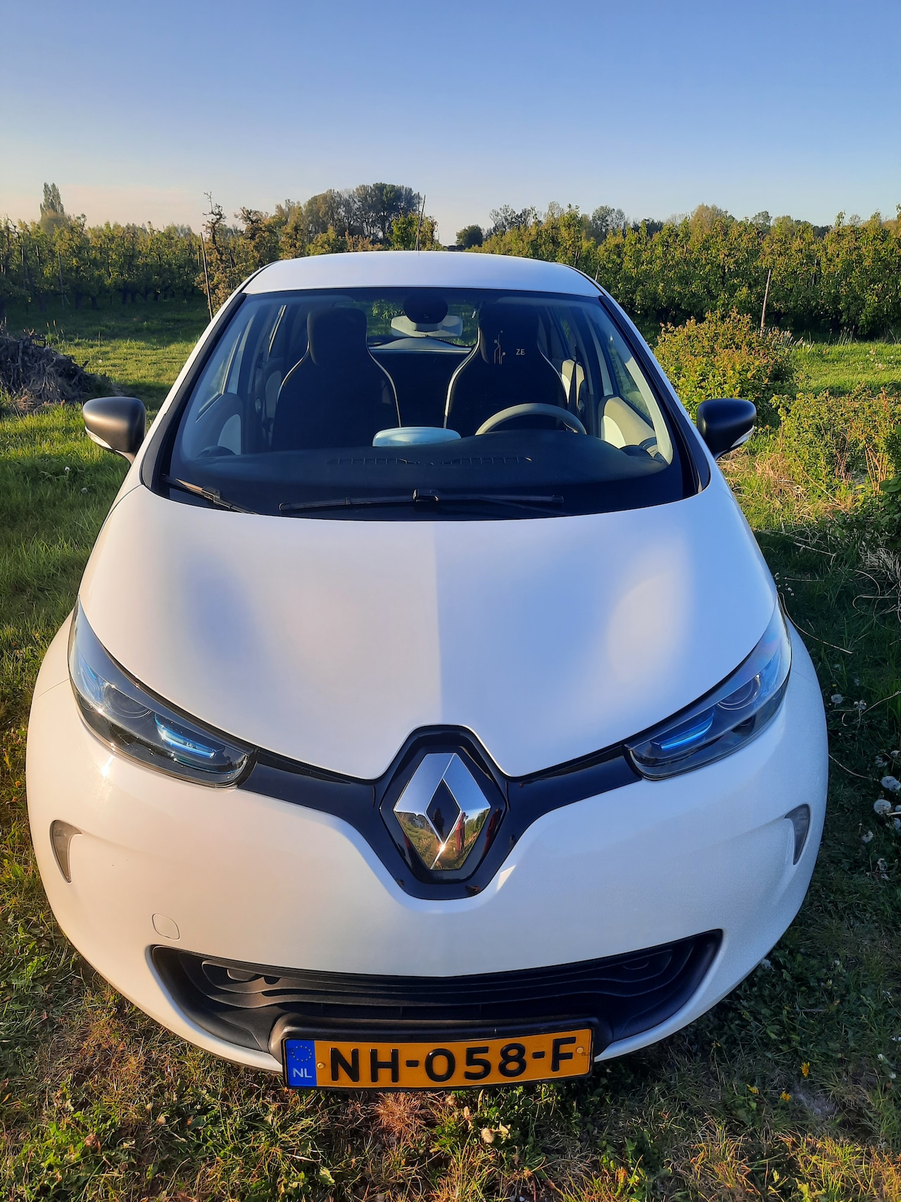 Renault Zoe - R90 Life 40 - AutoWereld.nl