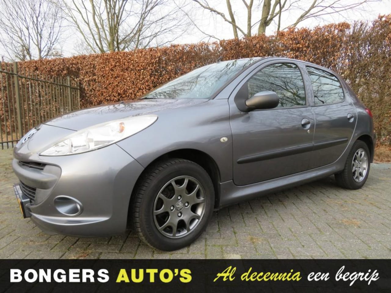 PEUGEOT 206+