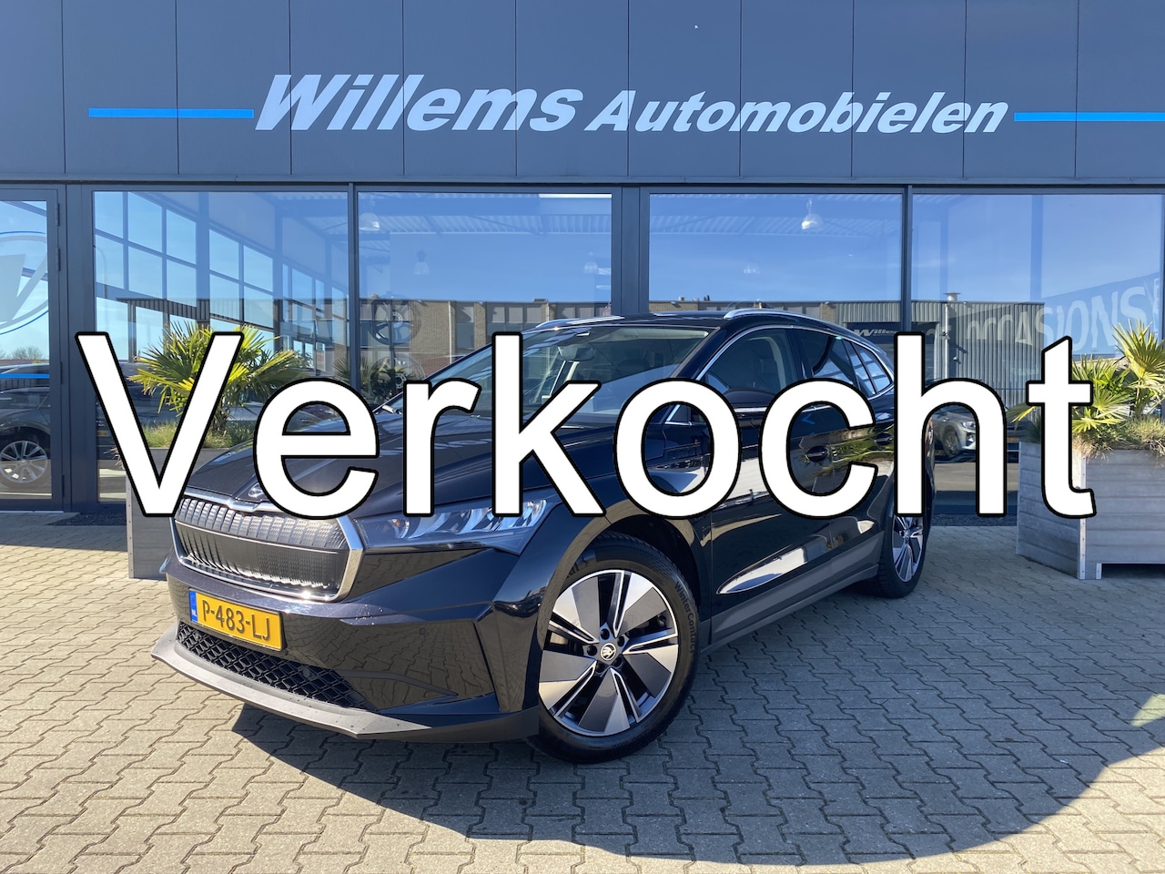 Skoda Enyaq iV - 60 SOH 91% Camera, Stuur &  Cruise Control - AutoWereld.nl