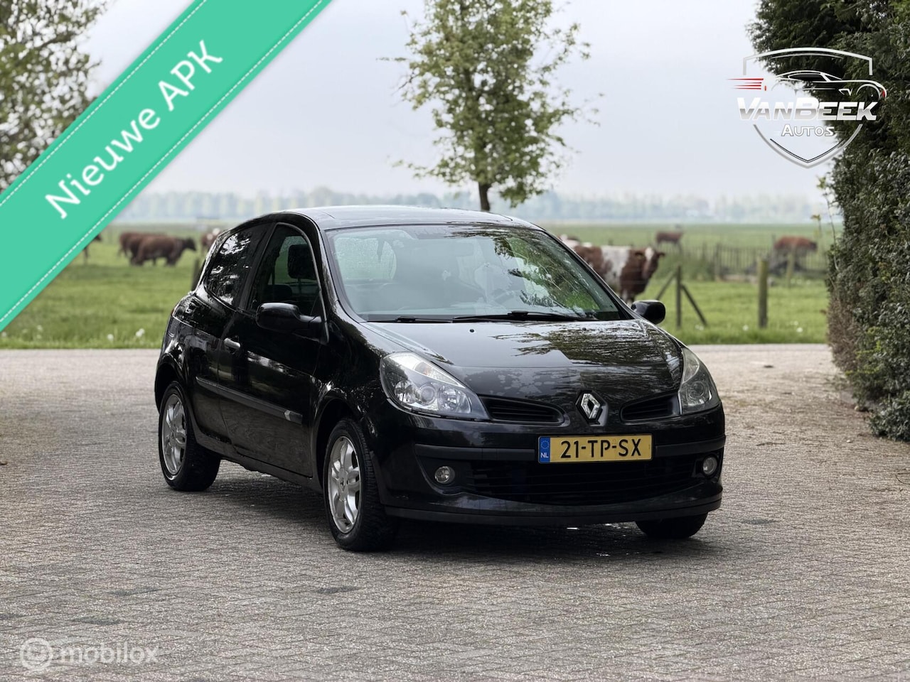 Renault Clio - 1.2-16V Authentique Nieuwe Apk Airco Bluetooth - AutoWereld.nl