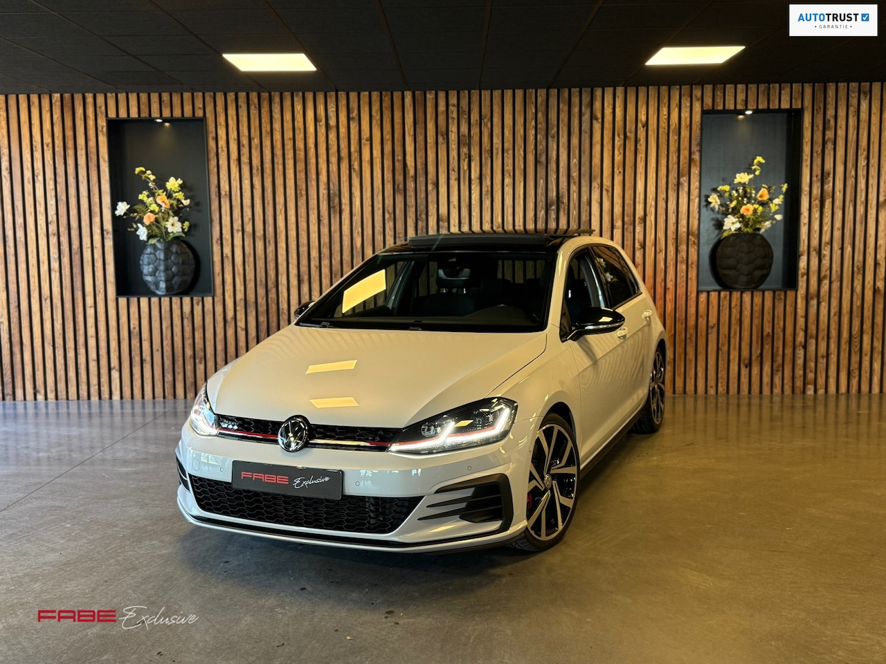Volkswagen Golf - 2.0 TSI GTI Performance / Remus / Pano / Keyless / Camera / Carplay / Virtual / Parelmoer - AutoWereld.nl
